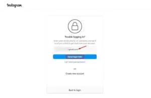 Screenshot of Instagram password recovery.