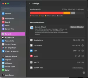Screenshot of the macOS Storage settings showing that 205.94 GB of 245.11 GB is used on the Macintosh HD. Categories include Documents, Apps, Mail, and macOS, with recommendations to store files in iCloud.
